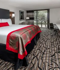 Ramada by Wyndham Austin South