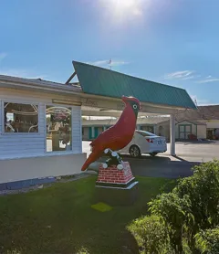 Cardinal Motel