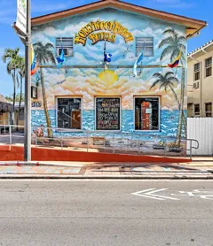 Hollywood Beach Seagull