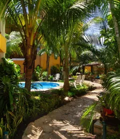 Hotel Bosque Caribe , 5th Av Zone