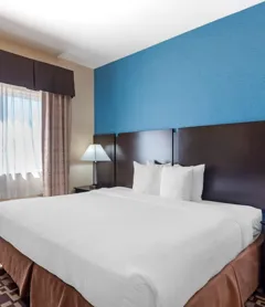 Best Western Plus Arlington North Hotel & Suites