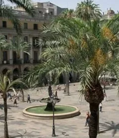 Hotel Roma Reial