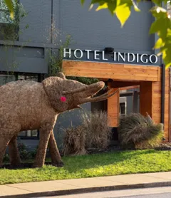 Hotel Indigo Chattanooga - Downtown, an IHG Hotel